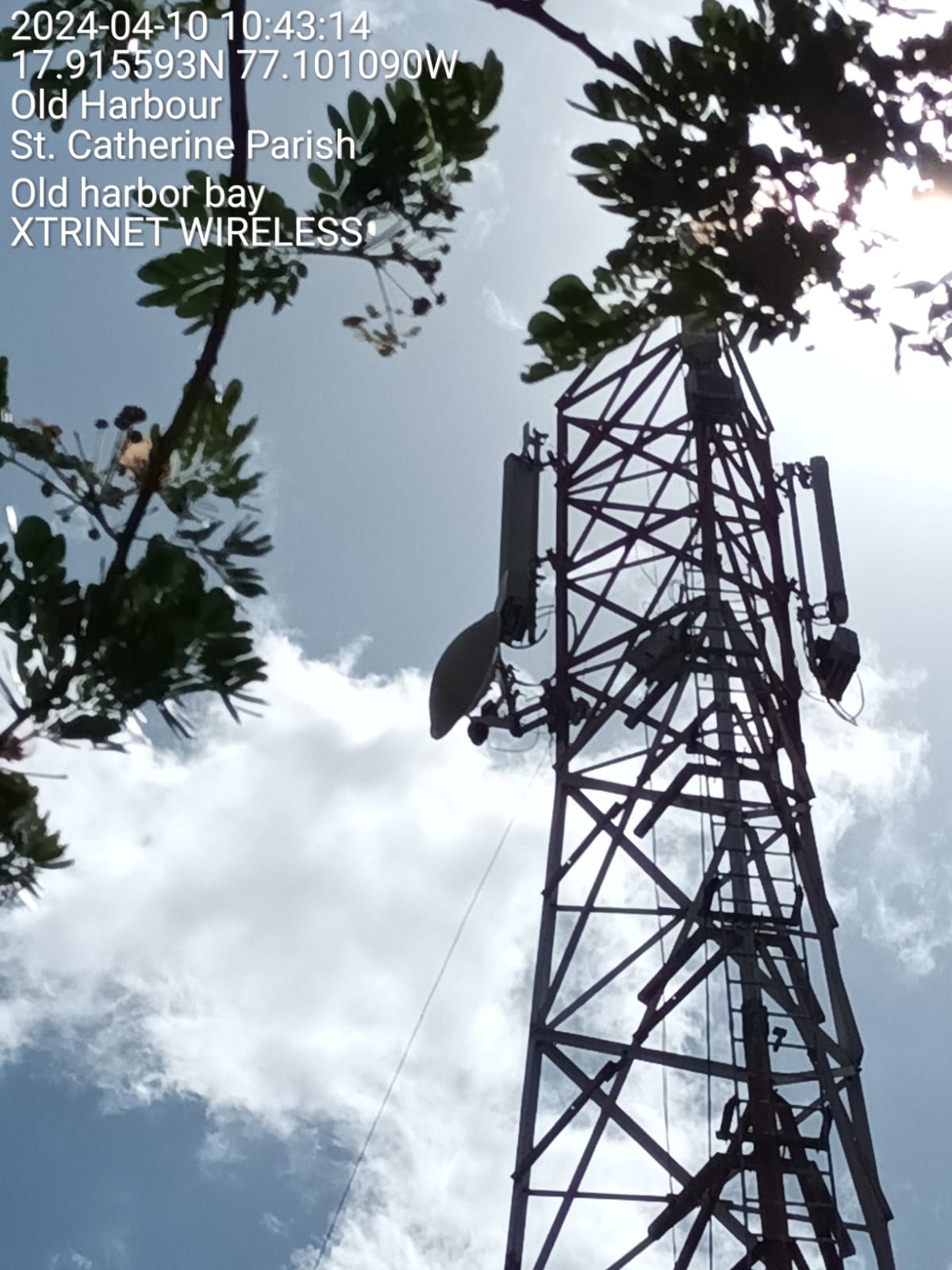 Xtrinet wireless tower at Old Harbour Bay